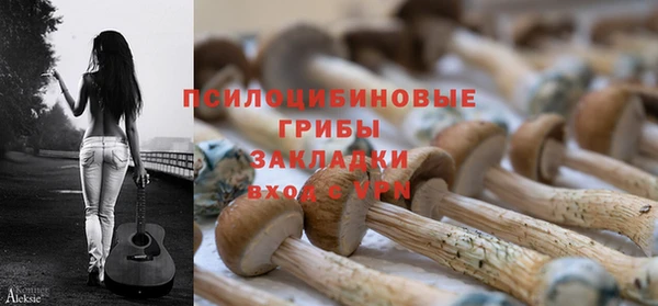 каннабис Беломорск